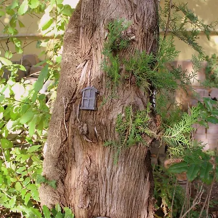 Lovely Nest Near Budapest דונקזז'י